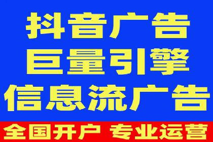 某某SEM团队成功案例：广告投放策略揭秘